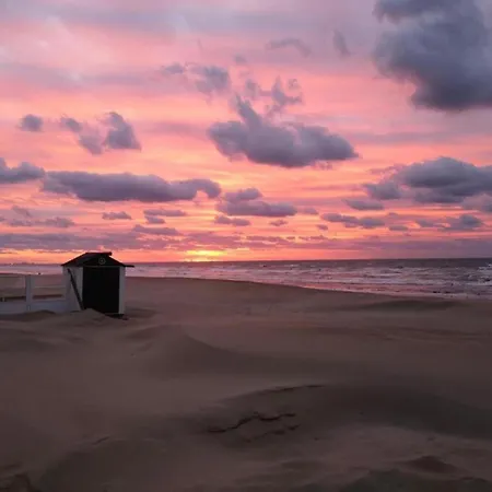 In Belgium Near Dunes & Sea, Cleaning Included * 코크시데