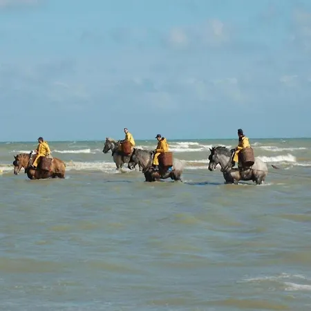 In Belgium Near Dunes & Sea, Cleaning Included 아파트