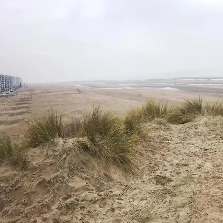 아파트 In Belgium Near Dunes & Sea, Cleaning Included *