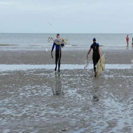 In Belgium Near Dunes & Sea, Cleaning Included *
