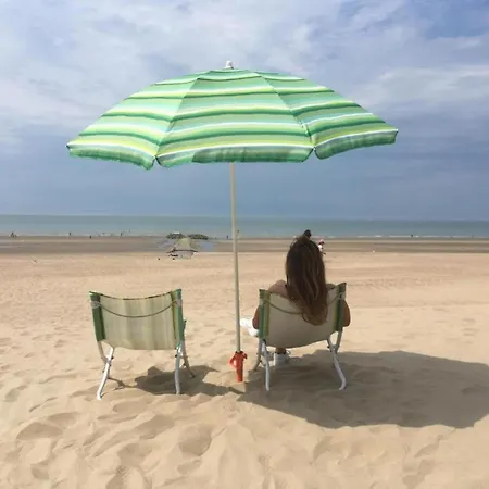 아파트 In Belgium Near Dunes & Sea, Cleaning Included