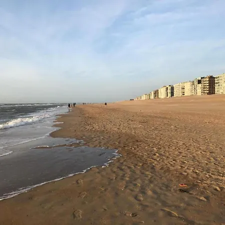 In Belgium Near Dunes & Sea, Cleaning Included 코크시데